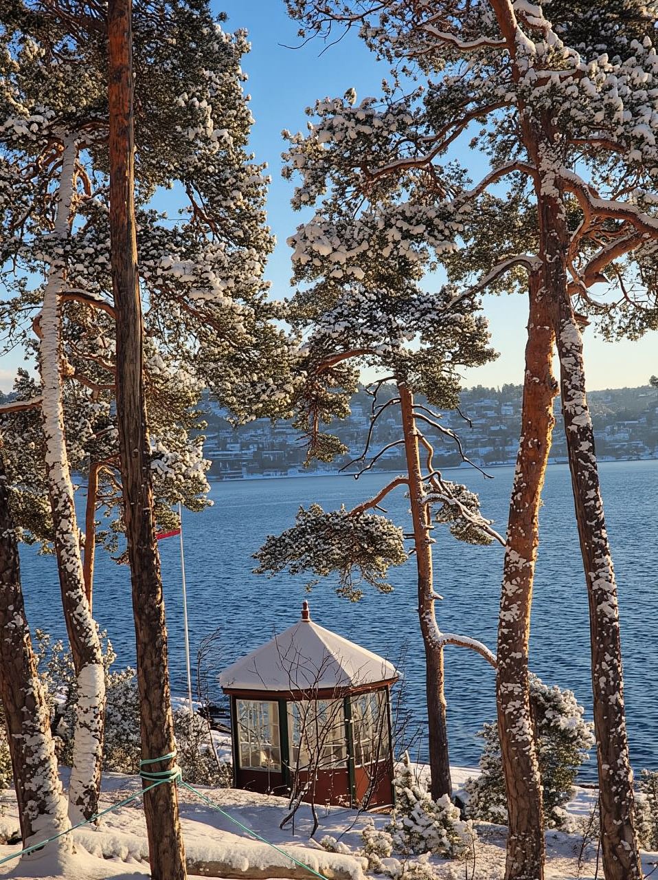 Oslo: Malmøya most beautiful Island Guided Hike-Waffle&Drink