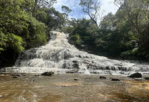 Blue Mountains: Katoomba Cascades & Falls Guided Hike