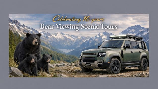 Whistler: Morning with the Bears Land Rover Scenic Excursion