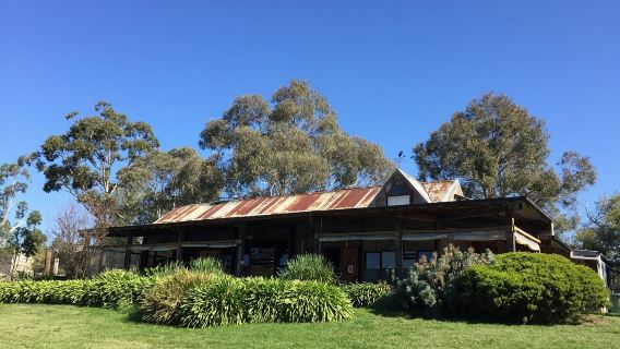 Yarra Valley Wine Experience Tour with Tastings