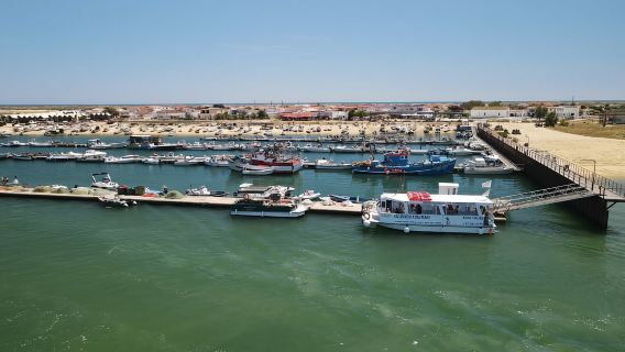 Olhão: 4-Hour Ria Formosa Islands Tour