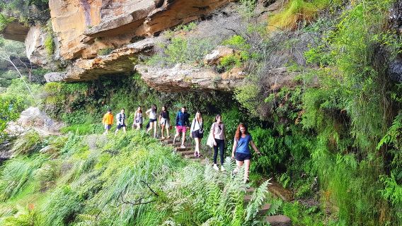 Blue Mountains Small Group Tour with Waterfall Walk & Fresh Lunch