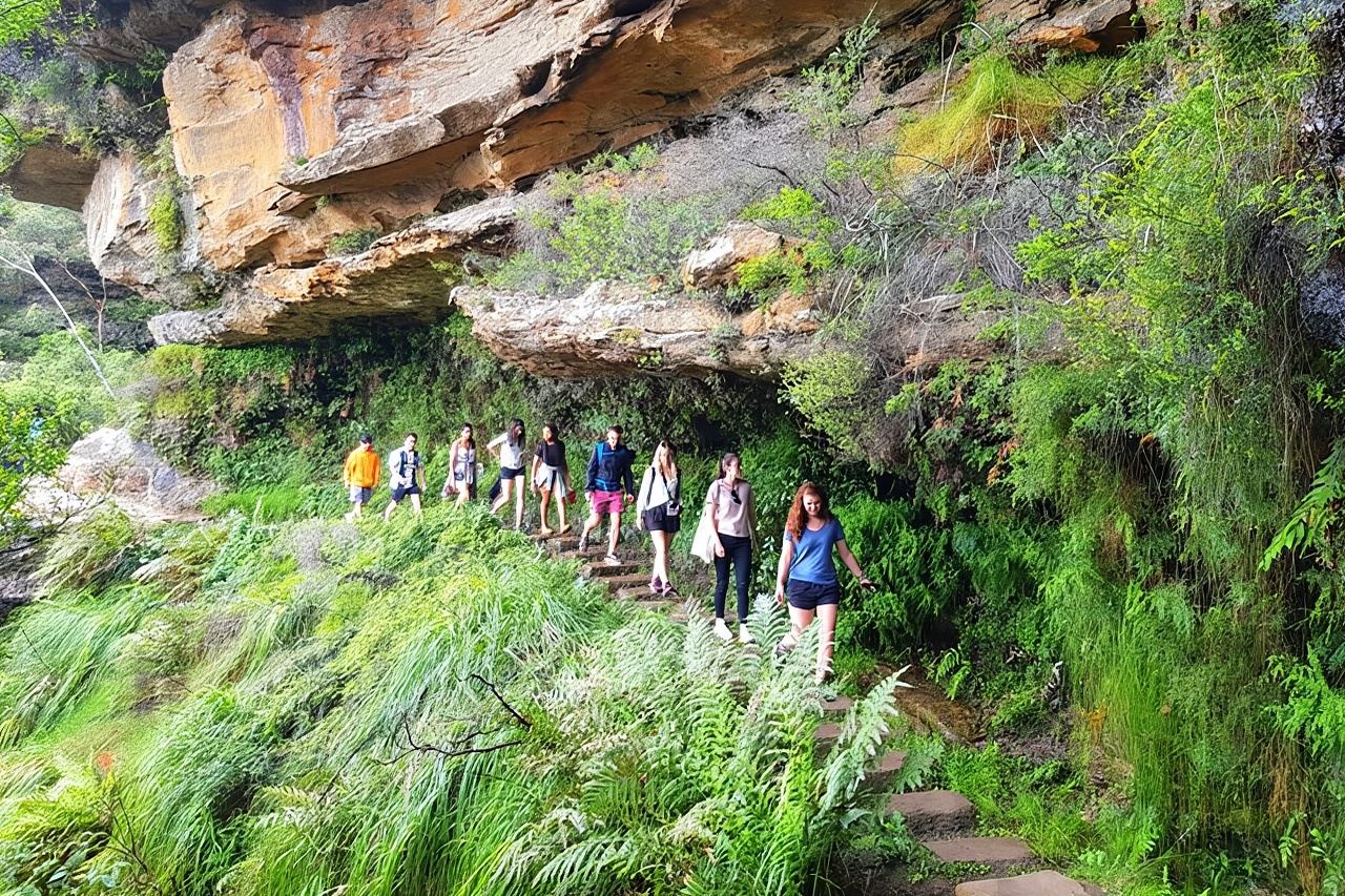 Kleine groepsreis naar de Blue Mountains met watervalwandeling en verse lunch
