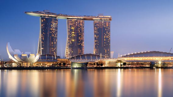 Serata a Lion City + trasferimenti di andata e ritorno