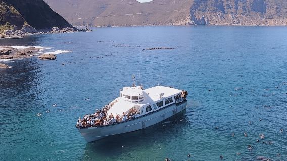 Vé xe buýt Hop-On Hop-Off buýt Town, Nam Phi 79537