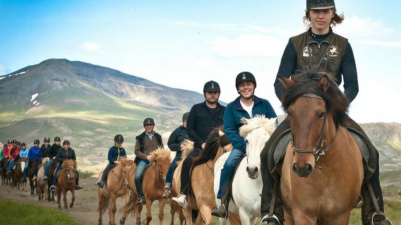 Tour a cavallo islandese con prelievo da Reykjavik