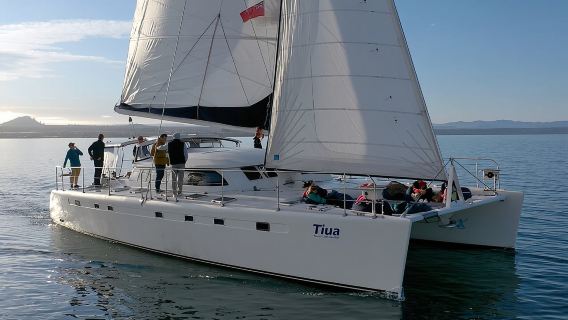 Luxury Sailing - Māori Rock Carvings - Taupo Sailing Adventures