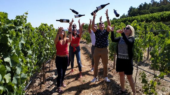 Voyage en petit groupe dans la vallée du Douro au départ de Porto