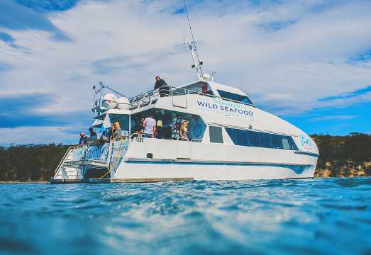Tasmania Hobart Cruise Half-Day Tour [Seafood Feast + Fishing Observation]