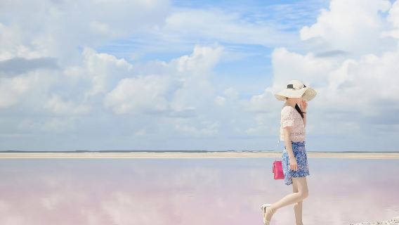 Excursion d'une journée au lagon rose de la péninsule du Yucatán au Mexique (en anglais, départ de Cancún)