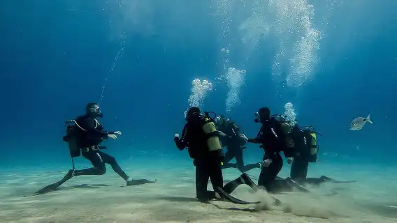 Discover Scuba Diving