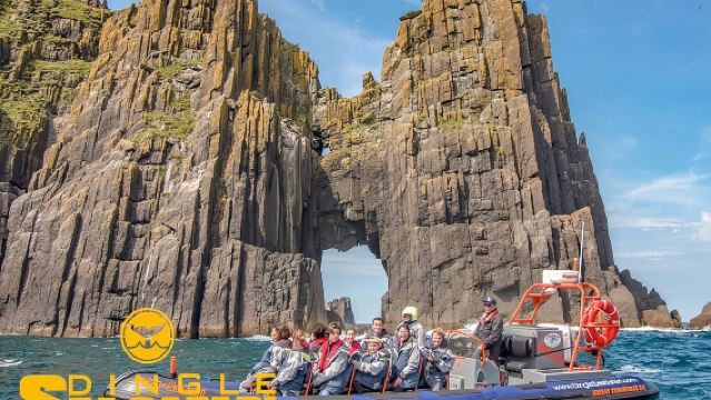 Pengalaman menaiki bot rib yang mengujakan - Safari laut Dingle