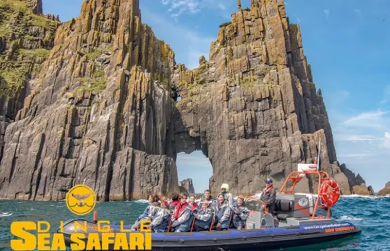 刺激快艇體驗 - Dingle Sea Safari