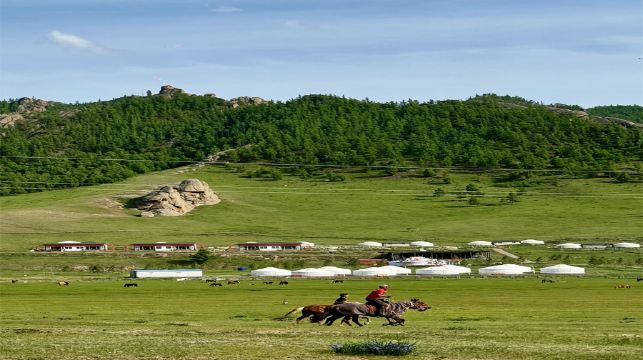 烏蘭巴托成吉思汗騎馬雕像+特日勒吉國家公園一日遊【上門接送】