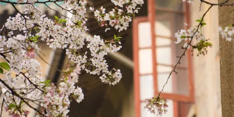 武漢湖北省博物館+黃鶴樓+東湖生態旅遊風景區景區講解【夜遊長江|登黃鶴樓+乘東湖生態旅遊風景區遊船+看萬里長江第一橋】