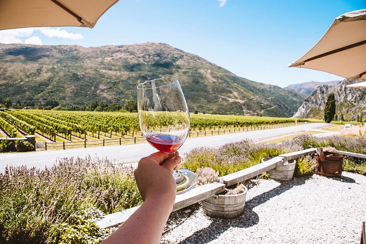 Queenstown New Zealand Wine Tasting Tour