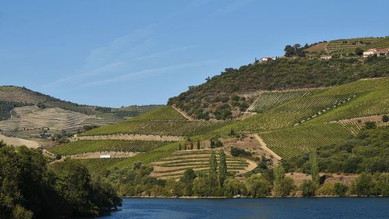 Porto/Régua/Porto hạ lưu