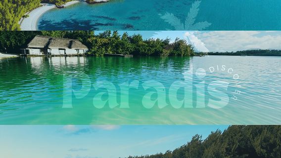 Mauritius: tour in motoscafo dell'Ile aux Cerfs con pranzo e bevande
