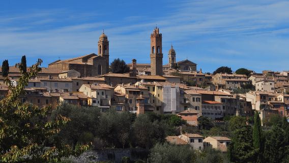 Desde Florencia: Chianti, Montalcino y Montepulciano - Minivan