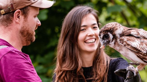From Windermere: Mountain Passes & Muncaster Castle