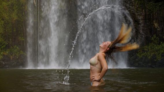 Plateaux d'Atherton : lacs, cascades et excursion d'une journée dans la forêt tropicale