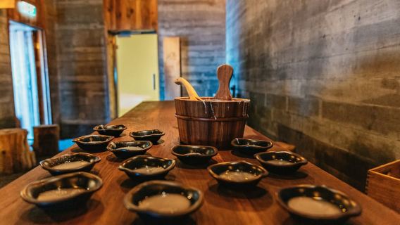 Reykjavik: Eintritt zur Sky Lagoon mit Transfer