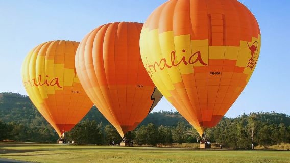 Brisbane: Hot Air Balloon Flight with Vineyard Breakfast