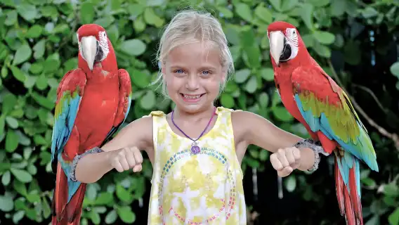 ออร์แลนโด: บัตรผ่านแบบรวมทุกอย่างพร้อมศูนย์อวกาศเคนเนดี