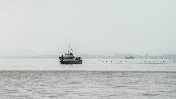 Walvis Bay : croisière d'observation des dauphins sur la côte namibienne avec déjeuner léger