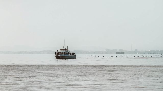 Walvis Bay: Namibian Coast Dolphin Cruise with Light Lunch
