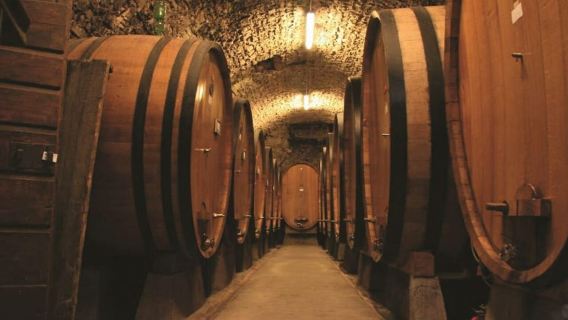 Florencia: Visita a los viñedos de Chianti con cata de vinos y cena