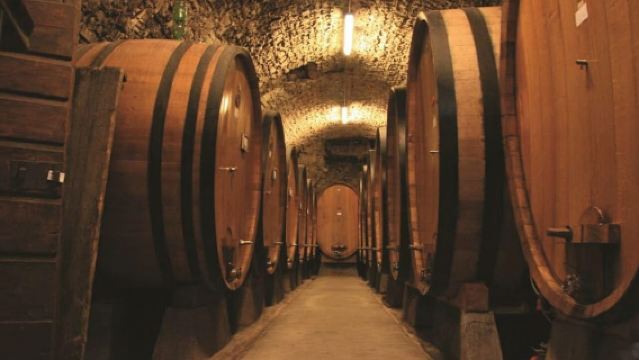 Florence: Chianti-wijngaardenreis met wijnproeverij & diner