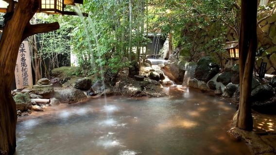 Fukuoka: tour panoramico di un giorno al vulcano Aso e alle terme di Kurokawa