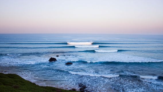 Phillip Island Hiking and Penguin Parade Tour - Small Group