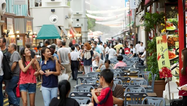 Singapore Private Car Charter with Chauffeur - Full Day Tour