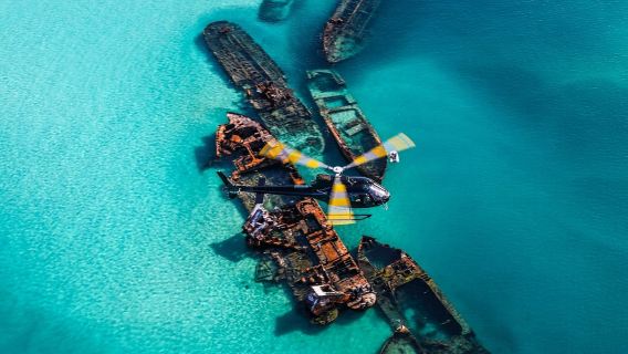 Tangalooma zee-naar-lucht cruise met walvissen spotten