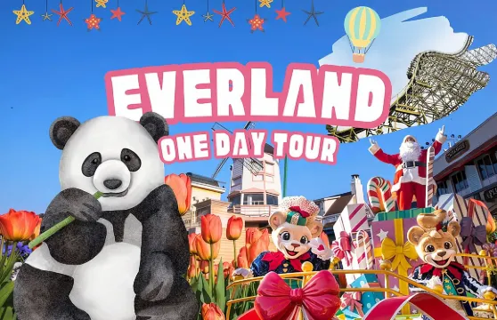 愛寶樂園主題樂園門票（含首爾接送服務）