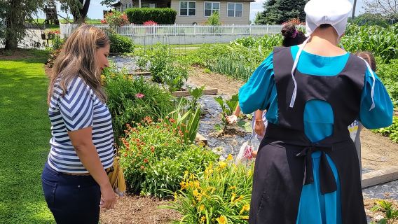 Unique Amish Immersion in Lancaster
