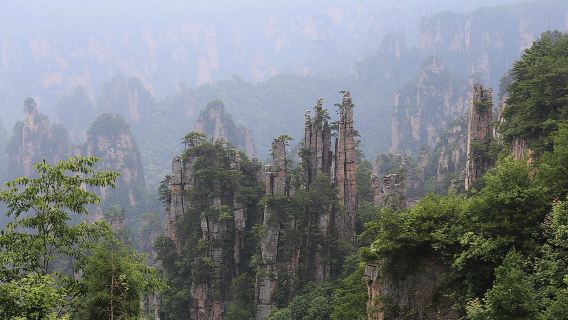 Jambatan Kaca, Yuanjiajie Avatar Mountain & Tianzi Mountain lawatan sehari