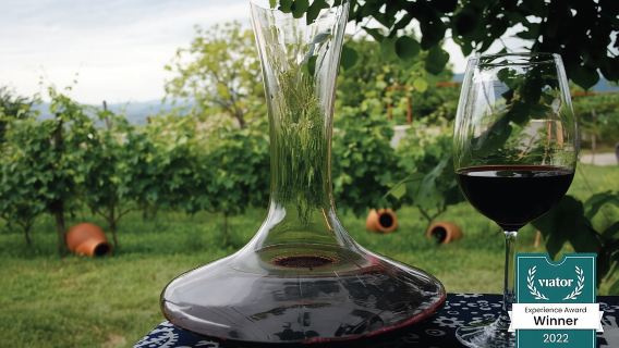 Excursión privada de día completo a una bodega en la región de Kakheti con almuerzo y 3 catas de vino.