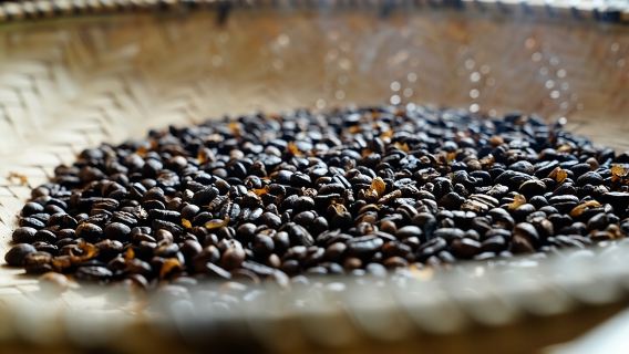 Lawatan Kopi Meru Persendirian di Nkoaranga