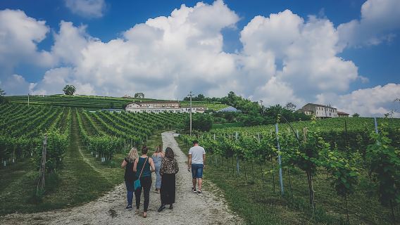 Prosecco wine tour from Venice