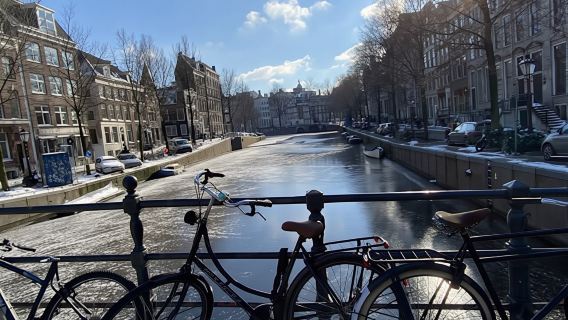 Amsterdam City Tour with Local Guide