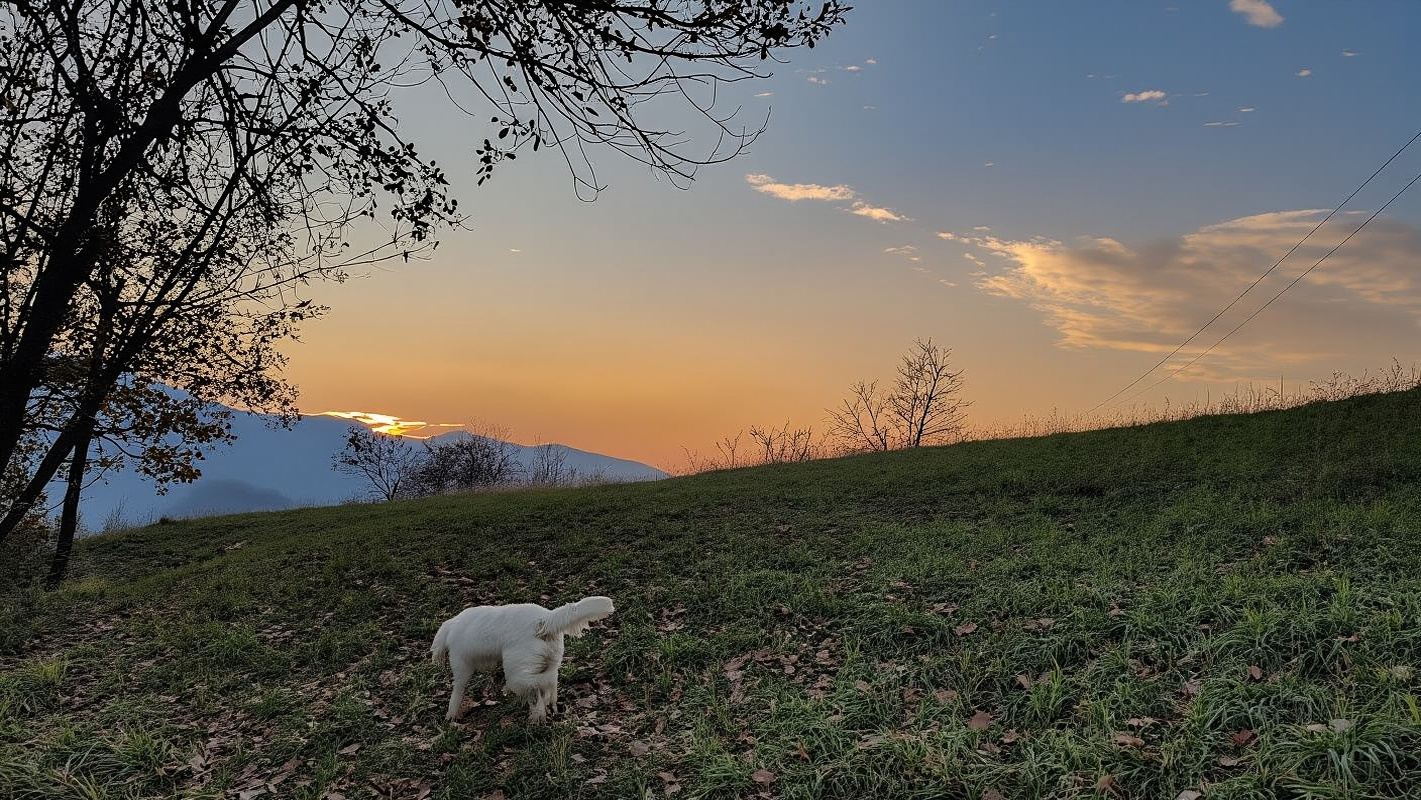 Truffle Hunting with Tasting in Gavi