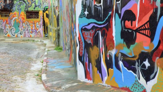 Sao Paulo Zoo in Brazil - Customizable, Chinese-speaking car service, free and comfortable, pure travel experience