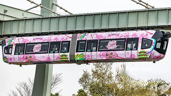 【6人小團】光谷空軌+蘿蔔車-省科技館+華科+武大-楚河漢街