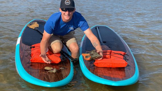 Dolphin and Manatee Tour of Marco Island by Kayak or SUP