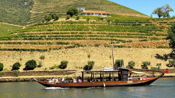 Ab Porto: Douro-Tal-Tour mit Besuch von 2 Weingütern, Mittagessen und Schifffahrt