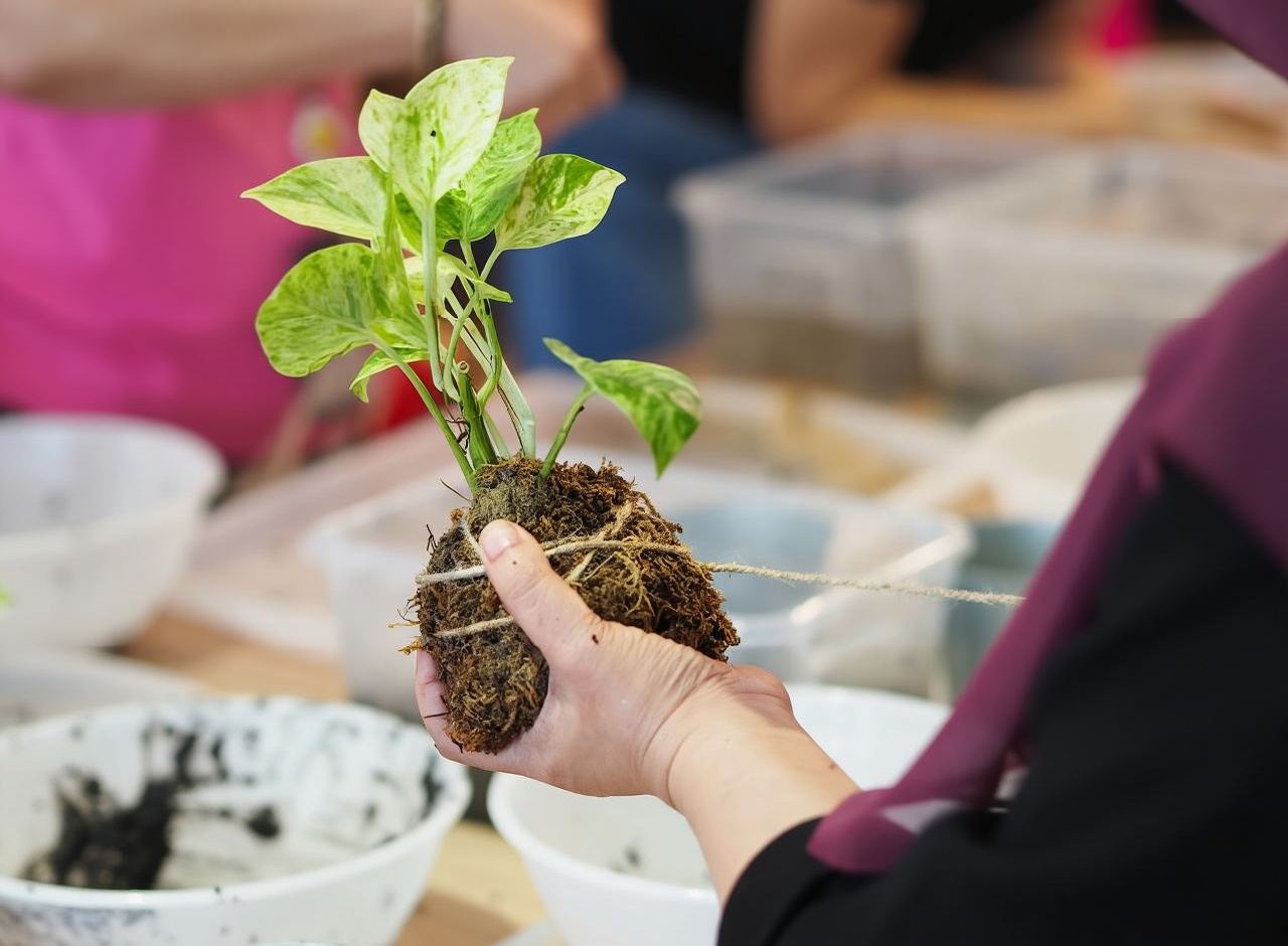 Мастер-класс по кокедаме в Сингапуре от J2 Terrarium