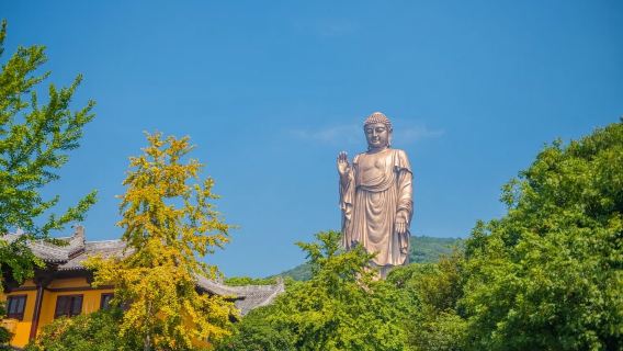 無錫靈山大佛+黿頭渚一日遊【南京出發·精選純玩】